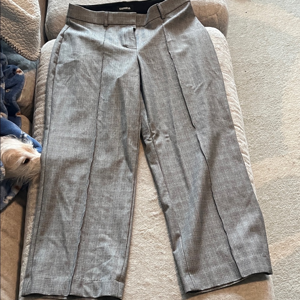 Express women’s  Classic Gray Dress Pants